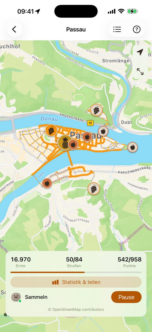 Die bemalte Karte: Passaus Altstadt mit golden verschlungenen Gassen.